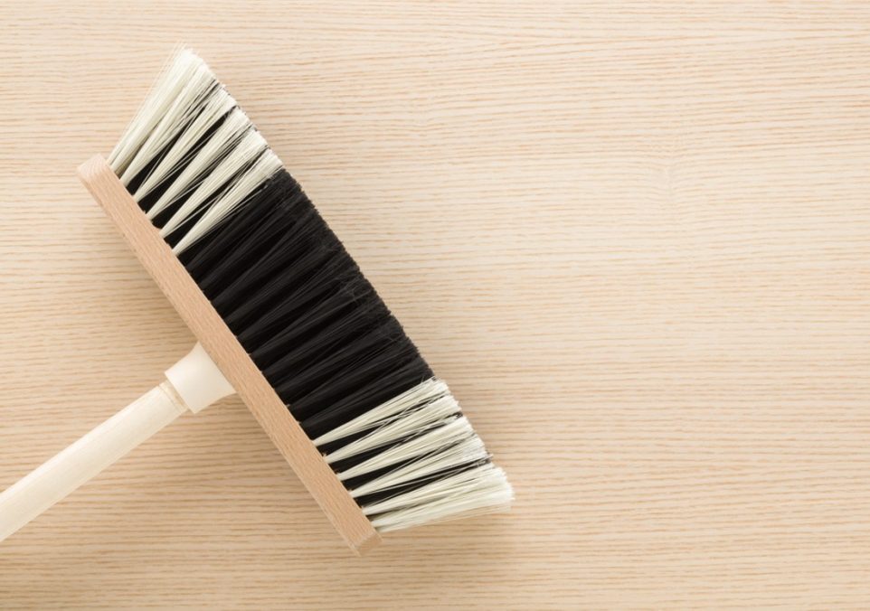 best soft bristle brush